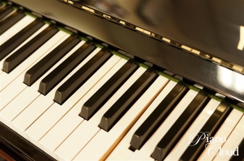 U1A